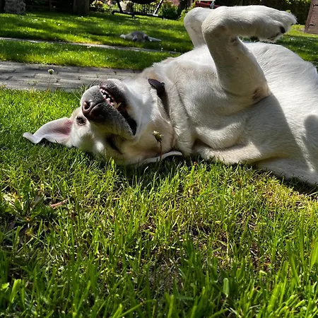 Apartamento I Antonówka *