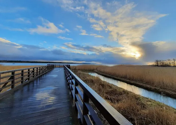 I Antonowka Lejlighed