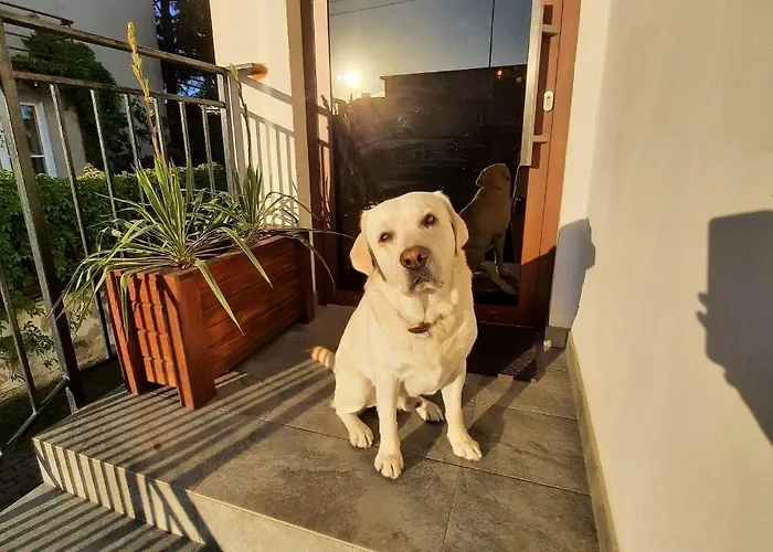 I Antonowka Lejlighed Władysławowo